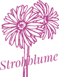 Strohblume